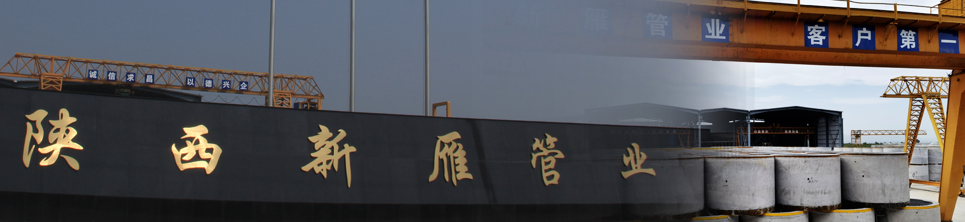 盛氏六清茶，藥食同源，糾偏扶正